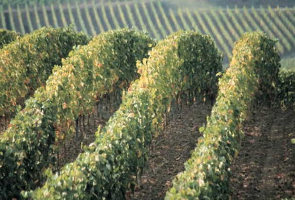 Kisalföld és Tokaj