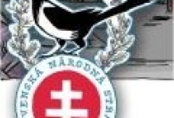 Választások 2. – Miért szavazok az SNS-re?