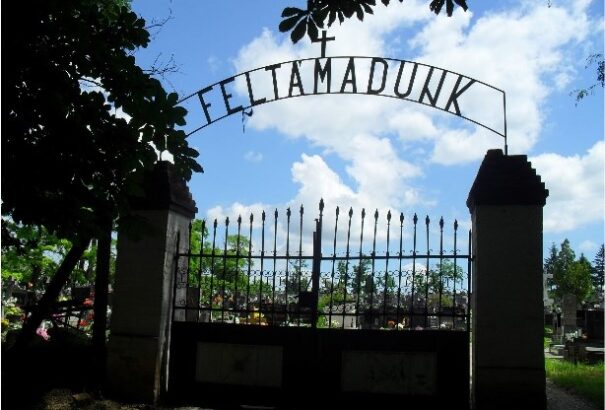 Vizuális kétnyelvűség