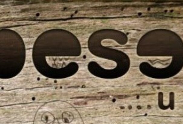 Ha a Sziget, Pohoda után valami másra vágysz…