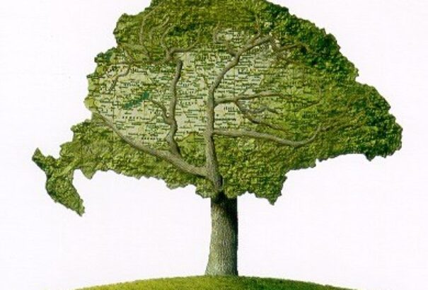 Autonómia Felvidéken. Eszik vagy isszák?