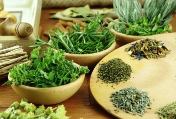 Gyógyító ételízesítők