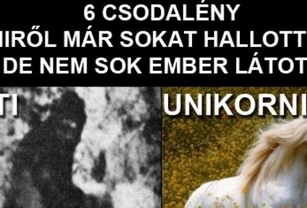 Felvidék autonómia-tervezete