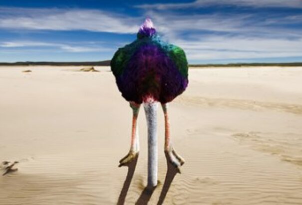 Fej a homokban. Bárdos Gyula esete a magyar szinkronnal