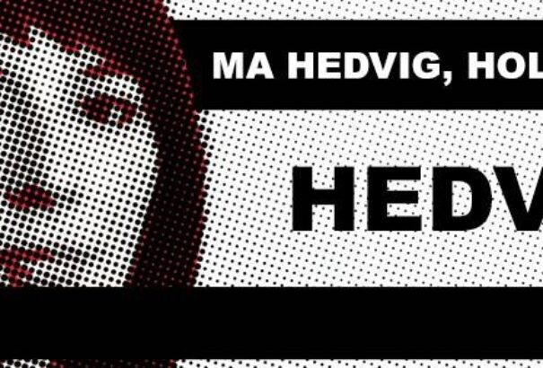 Malina Hedvig-ügy, meghurcolások, jogsértések –  interjú