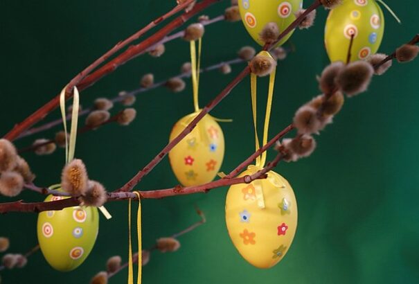 A tojás meg a héja