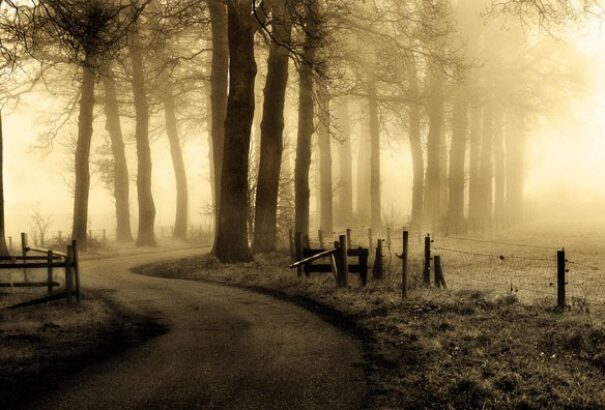 Szlovákiai magyar ifipolitika egykor és ma – Hajszálrepedések 15. rész