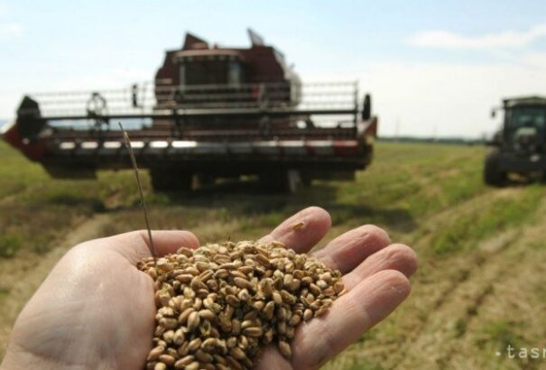 Szeresd a hazait, válaszd a hazait!