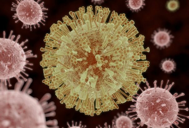 A Zika-vírus az egész amerikai kontinensen elterjedhet