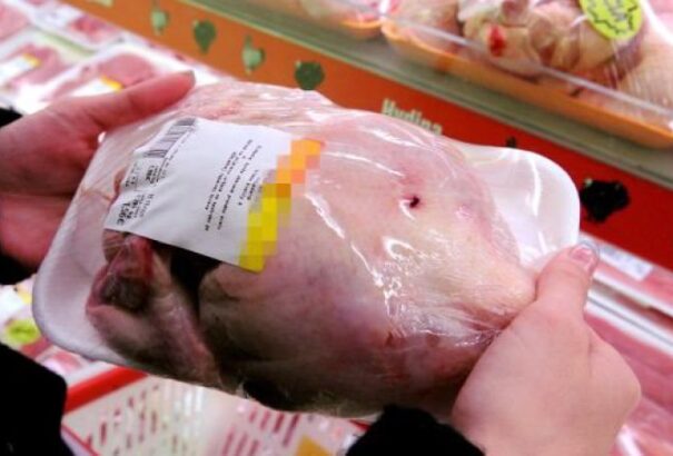 Vigyázat, szalmonellafertőzött HYZA csirkéket találtak