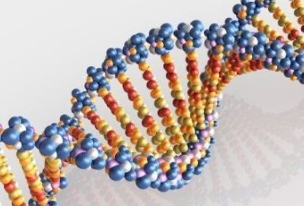 Genetikai tényező is hozzájárulhat egy nemzet boldogságához