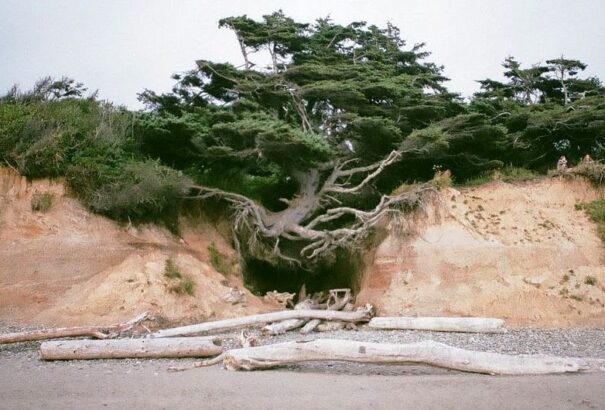 Szellemi infláció – Az idő hordaléka, 17. rész