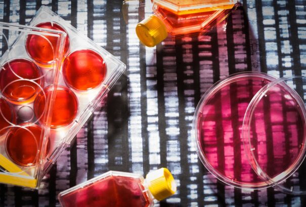 Úgy tűnik, hogy kínai tudósok megtalálták a gyógyírt a férfi meddőségre