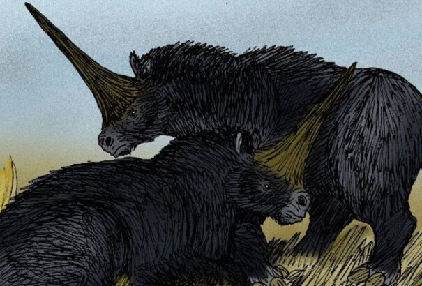 Bizonyítékot találtak a szibériai unikornis létezésére