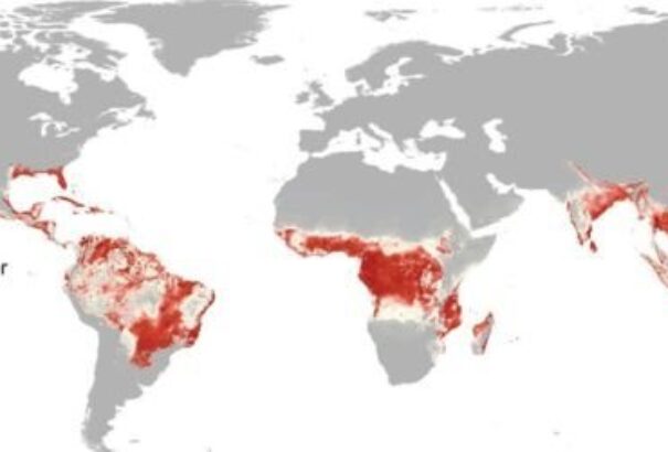 2,2 milliárd embert veszélyeztet világszerte a Zika-vírus