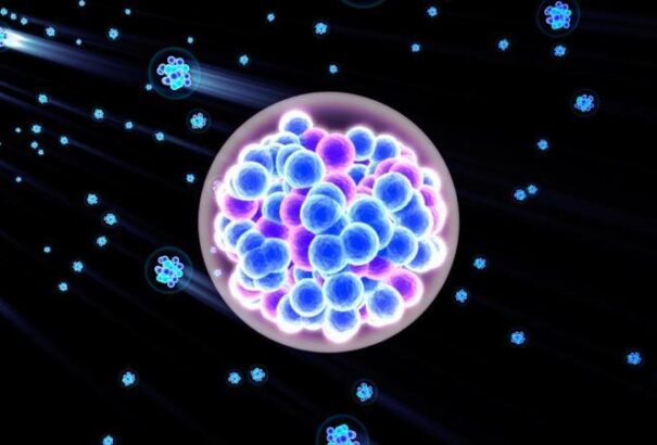 Világunk végső elemeit keresik az atomkutatók