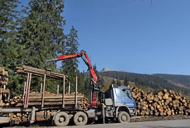 Vágjuk az erdőt magunk alatt, erdőpusztítás Szlovákiában