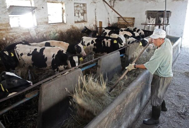 A hazai termék minőségi? Van, ahol inkább kivonják a forgalomból