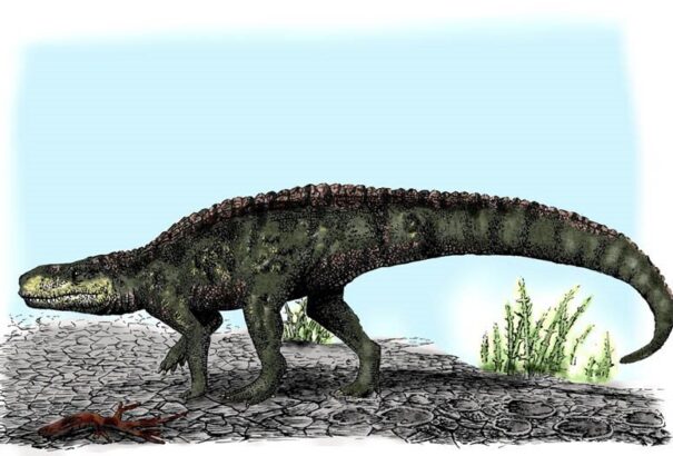 Megtalálták a dinoszauruszok 230 milló éve élt ősének lábnyomát (Kép)