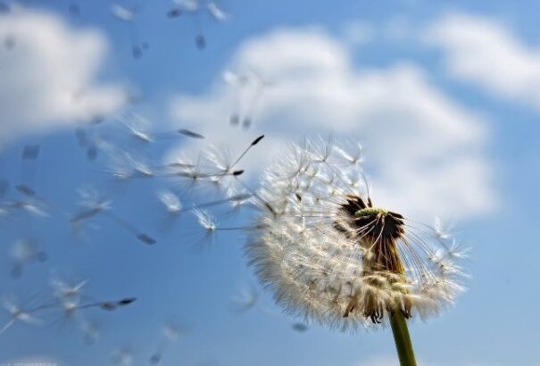 Lennék – új versek 04