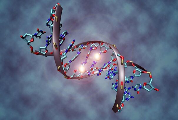 Mikrocsippel kutatják a DNS mutációkat