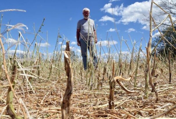Hatalmas viharkárok Kelet-Szlovákiában