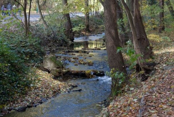 Kirándulás az erdőkben: a pozsonyi erdei park a legjobbak között