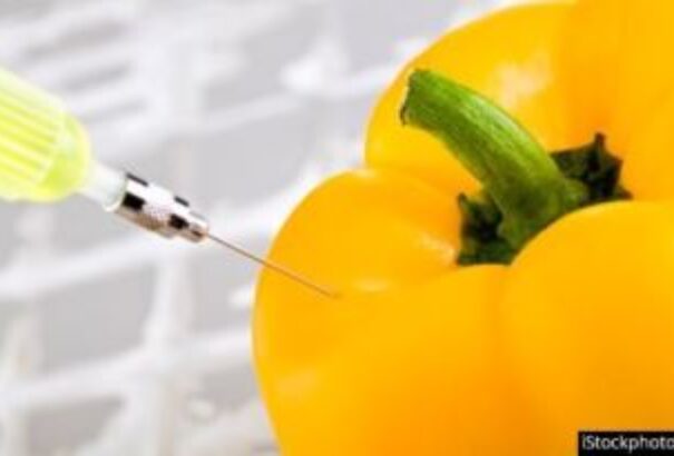 Tüntetés szakította félbe Amerikában a GMO-ról szóló szavazást