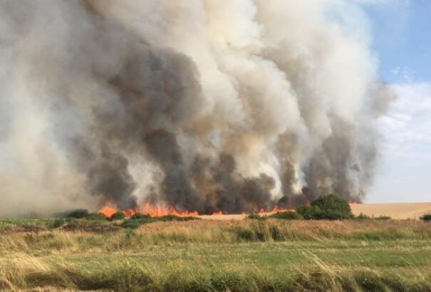 Több hektár gabonamező és termése lett a tűz áldozata