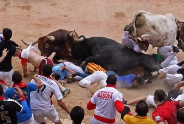 Véget ért a 2016-os pamplonai bikafuttatás: tucatnyi szúrás, több tucat egyéb sérülés