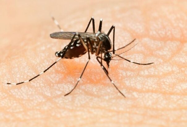 Már a második zikaláz fertőzést regisztrálták Romániában