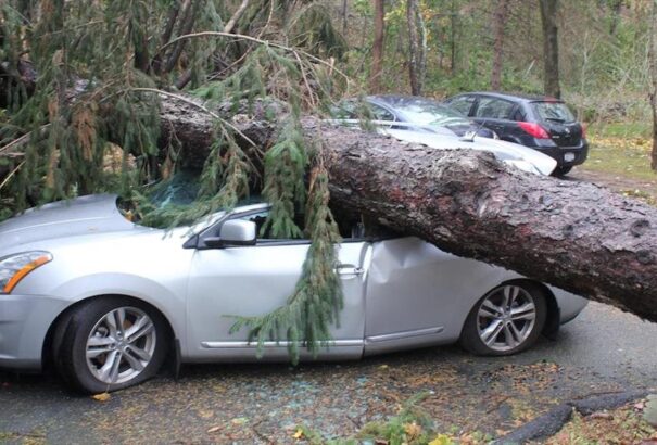 A viharkárokat érdemes mielőbb bejelenteni