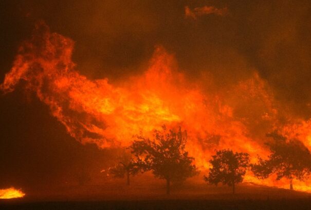 Erdőtüzek pusztítanak Kaliforniában