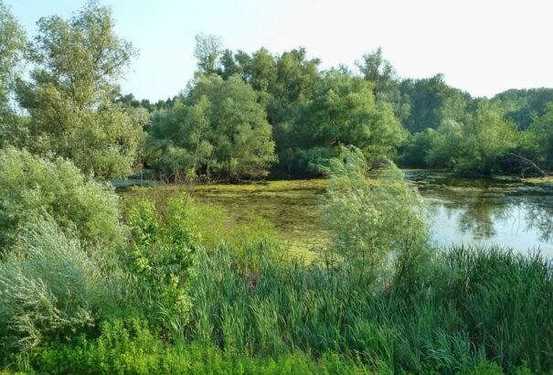 Egy lépéssel közelebb kerültünk a Dunamenti Nemzeti Park létrehozásához