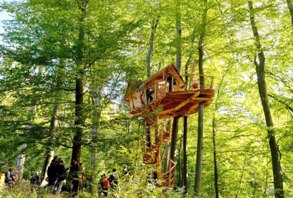 Éjszaka a fák lombjai között. Már bérelhető a csodaházikó Pozsonyban – Képek