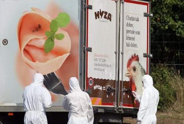 Nyolc ember ellen javasol vádemelést a rendőrség, három sofőrt még keresnek