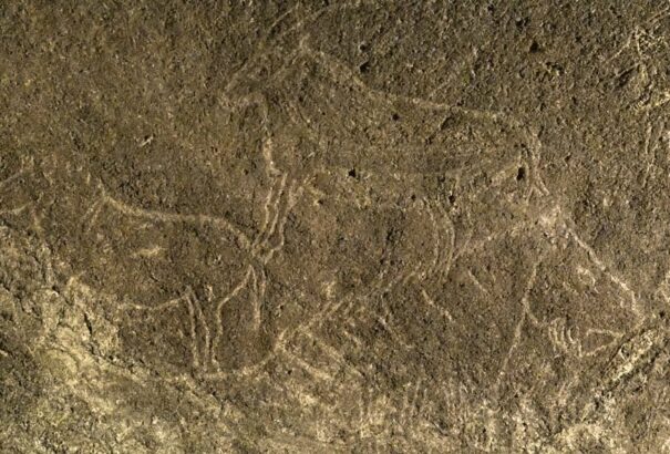 Több mint 14 ezer éves barlangrajzokra bukkantak Észak-Spanyolországban