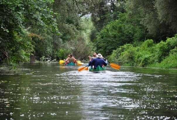 Kilenc millió eurót fordítanának Csallóköz és Szigetköz turizmusára