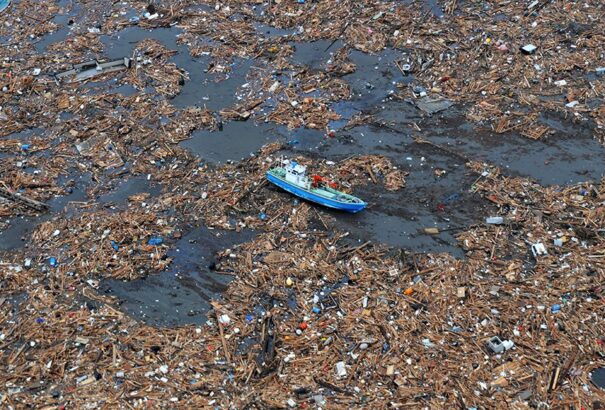 Egyre több a tengeri özönfaj