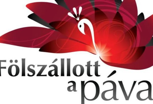 Határon túliaknak is drukkolhatunk a Fölszállott a páva középdöntőjében