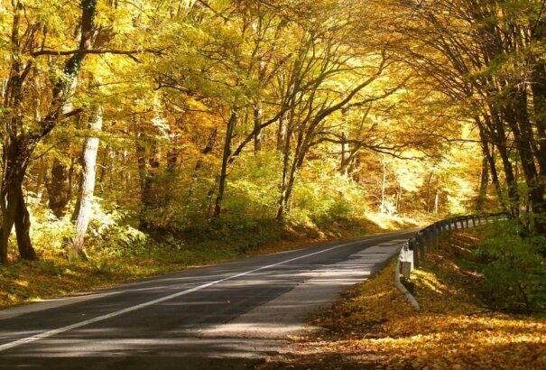 Hangulatok 01 – Útra kelni