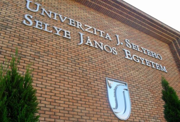 Több megállapodás született a magyar-szlovák kisebbségi vegyesbizottságban