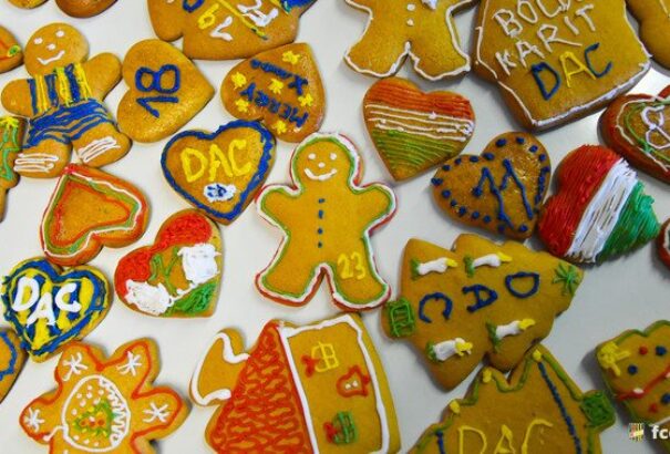 Három szervezet kapja meg a DAC-ViOn meccsen gyűjtött pénzt