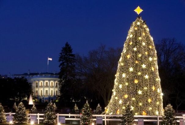 A Fehér Ház elképesztő karácsonyi díszeit ötszáz órába telt elkészíteni