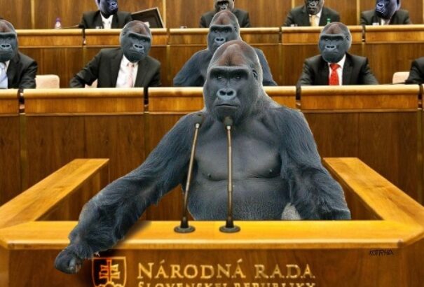 Dag Daniš: Ez az ügy még a Gorillánál is rosszabb