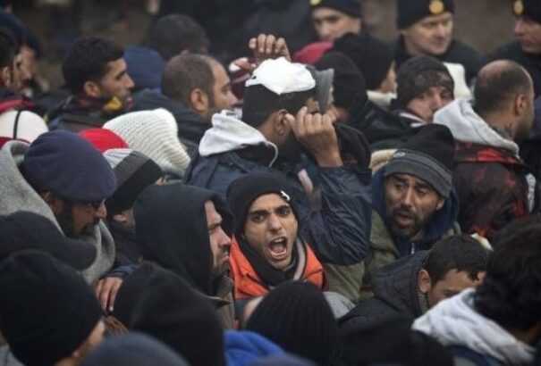 „Felszólítottak minket, hogy tanuljunk meg arabul, nekik nincs kedvük németül”