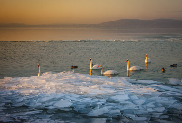 Így néz ki a tündérmesébe illő, jeges Balaton