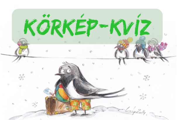 Körkép-kvíz #4: Mennyire ismered a magyar szólásokat és közmondásokat?