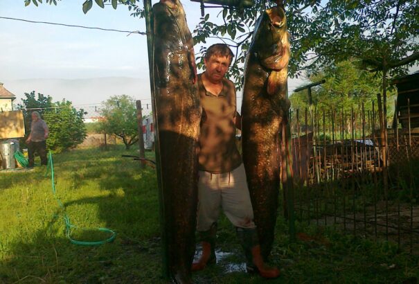 Harcsalesen Gömörben