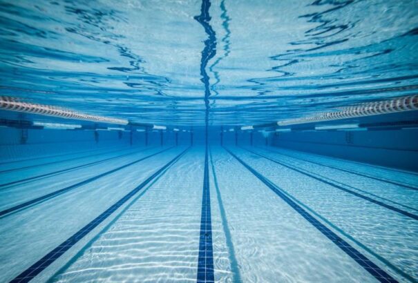 Megválasztották a Magyar Úszó Szövetség új elnökét